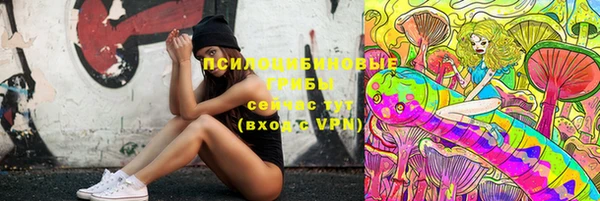 прущая мука Горняк