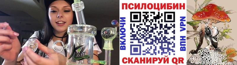 Купить Спасск-Рязанский Галлюциногенные грибы мицелий
